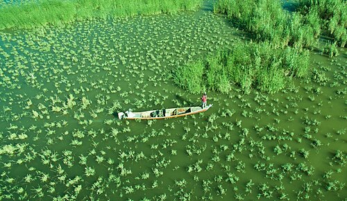 Mesopotamian Marshes